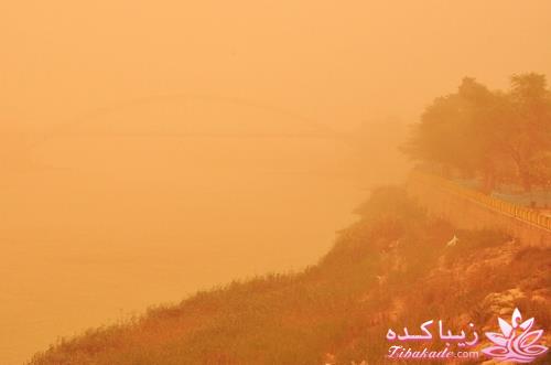 .:آلبوم عکسهای خودگرفته ما:.