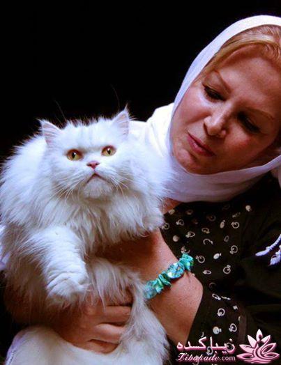 بازیگران ایران وجهان 