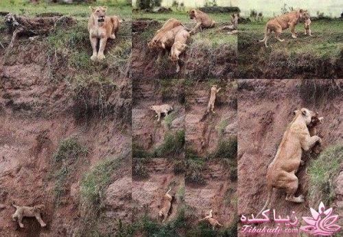 عکس های جالب