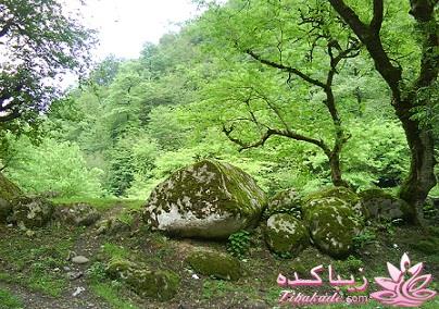 عکـــــــــــــــــس های گرفته شده در سفـــــــر