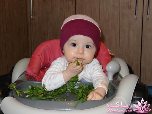 مسابقه عکاسی زیباکده ای مورد حمایت فروشگاه پانوراما**ویژه دریافت عکس**