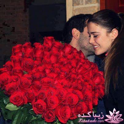 ♥عشـــــــــقولانه♥