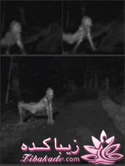 کلبه ی وحشت کیامی خوان بترسن