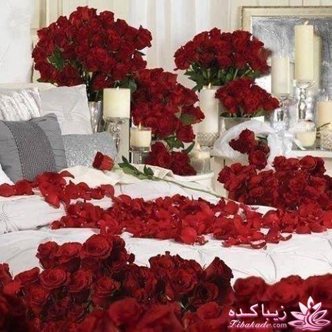 عکس های جالب