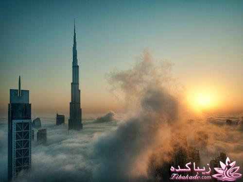 عکس های جالب