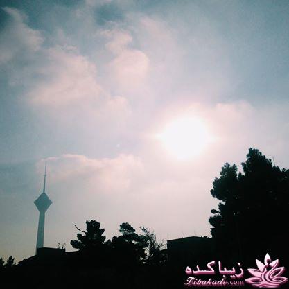 .:آلبوم عکسهای خودگرفته ما:.