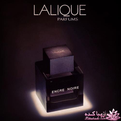 معرفی بهترین عطر و ادکلن ها