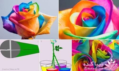 روز عشق ( ولنتاین / valentine)