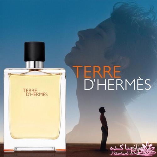 معرفی بهترین عطر و ادکلن ها