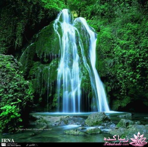 .:آلبوم عکسهای خودگرفته ما:.