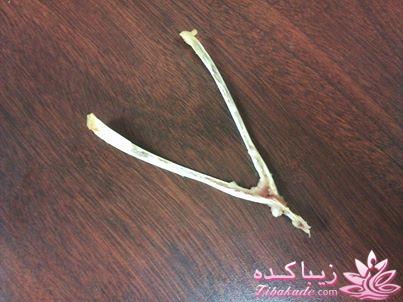 شام امشب زیباکده