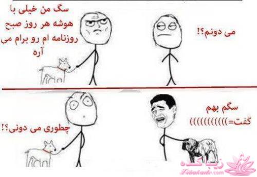 ترول های خنده دار | ترول های جدید 