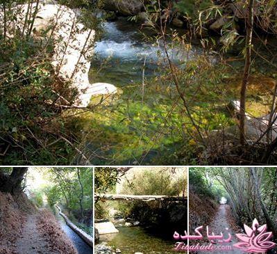 با من همراه شو