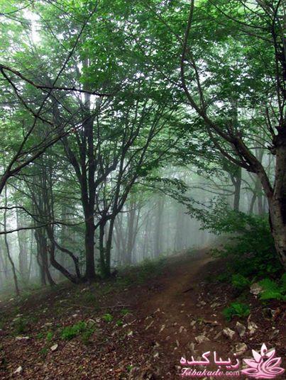 مسابقه عکاسی زیباکده ای مورد حمایت فروشگاه پانوراما**ویژه دریافت عکس**