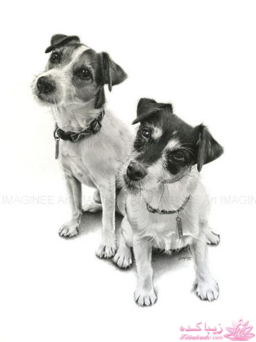 هنر آرامبخش نقاشی...