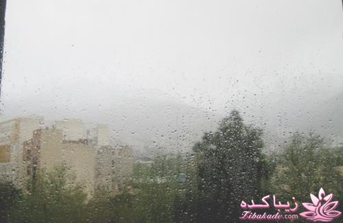 .:آلبوم عکسهای خودگرفته ما:.