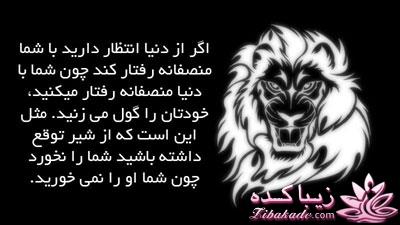 جملات ناب.............................نکات شیرین