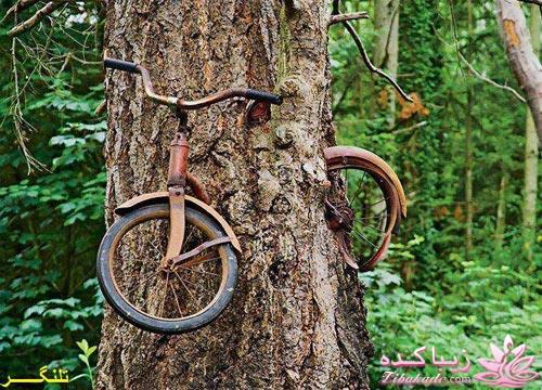 عکس های جالب