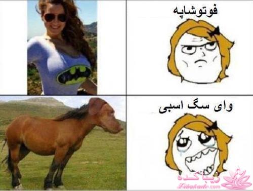 ترول های خنده دار | ترول های جدید 