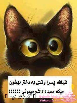 جـــــــــــــکـــــــ     جــــــــــالــــــــب