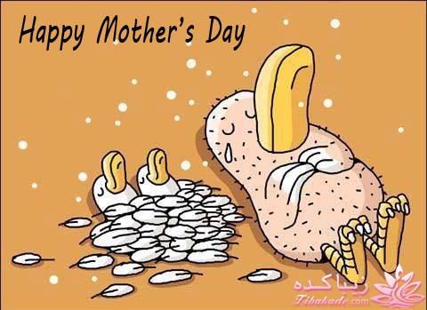 ✿  تبریک به همه زنان زیباکـده و ایران ✿ 