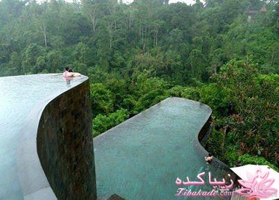 رویاهای زناشویی