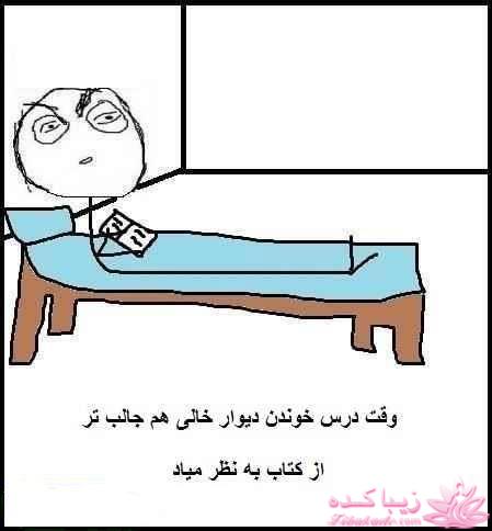 ترول های خنده دار | ترول های جدید 