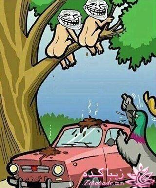 جـــــــــــــکـــــــ     جــــــــــالــــــــب