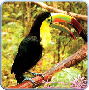 بقیه داستانو بنویس ...