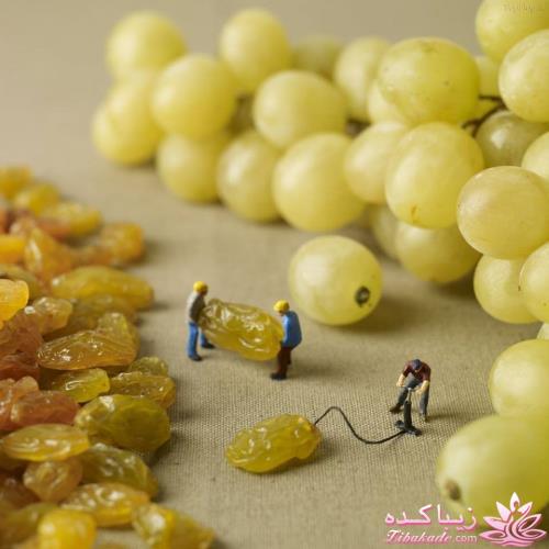 عکس های جالب