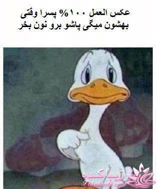 ترول های خنده دار | ترول های جدید 