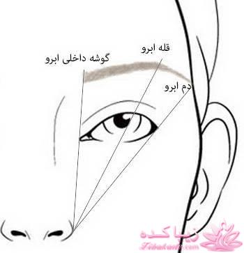 انواع مدل ابرو 
