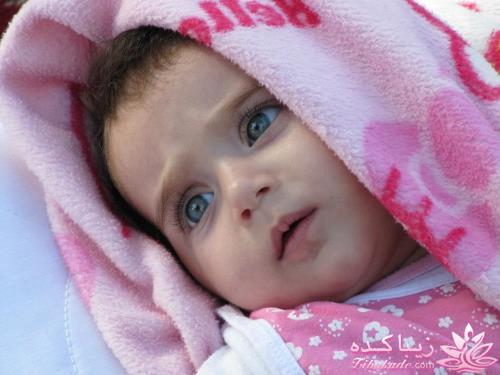 مسابقه عکاسی زیباکده ای مورد حمایت فروشگاه پانوراما**ویژه دریافت عکس**