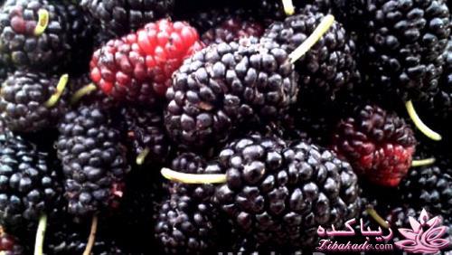 این روزها فقط نوشیدنی خنک می‌چسبه