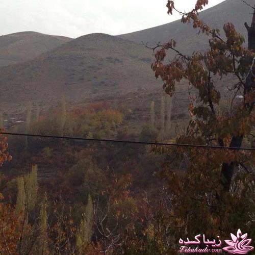 .:آلبوم عکسهای خودگرفته ما:.