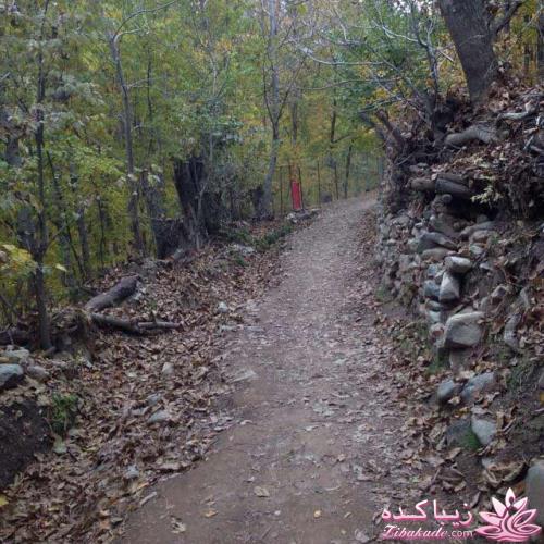 .:آلبوم عکسهای خودگرفته ما:.