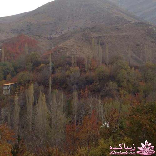 .:آلبوم عکسهای خودگرفته ما:.