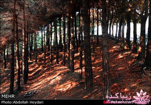 یک شهر با زیبا ترین پاییززز