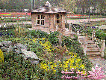 .:آلبوم عکسهای خودگرفته ما:.