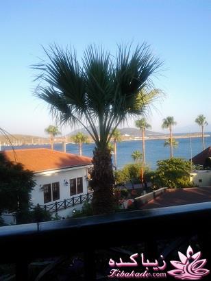 عکـــــــــــــــــس های گرفته شده در سفـــــــر