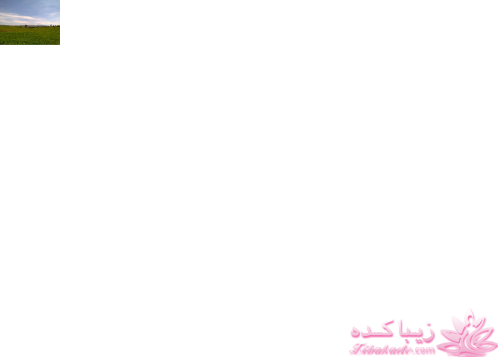 مسابقه عکاسی زیباکده ای مورد حمایت فروشگاه پانوراما**ویژه دریافت عکس**