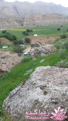 مسابقه عکاسی زیباکده ای مورد حمایت فروشگاه پانوراما**ویژه دریافت عکس**