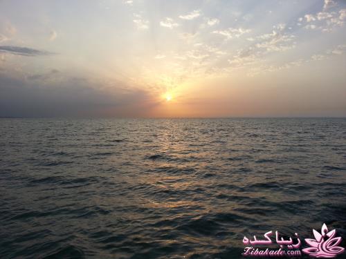 .:آلبوم عکسهای خودگرفته ما:.