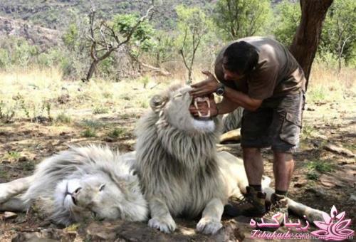 عکسهای زیبا ومفهومی