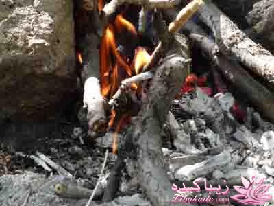 .:آلبوم عکسهای خودگرفته ما:.