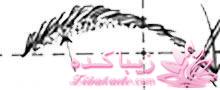 موزش تصویری برداشتن ابرو و نکاتی برای زیبایی  ابرو 