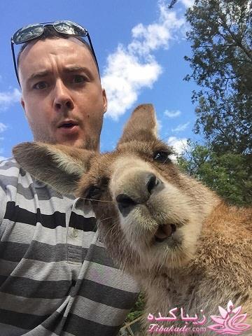 ۸ تا از بهترین و جالبترین عکس های سلفی سال ٢٠١٥