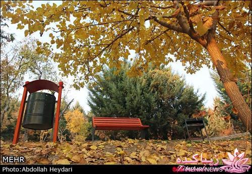 یک شهر با زیبا ترین پاییززز