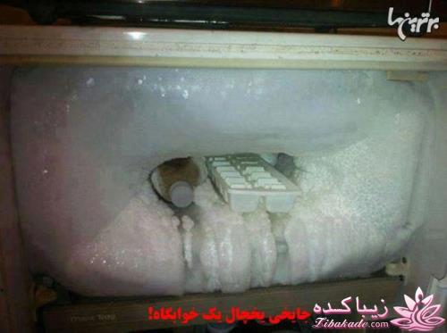 ماجراهای دانشجویی