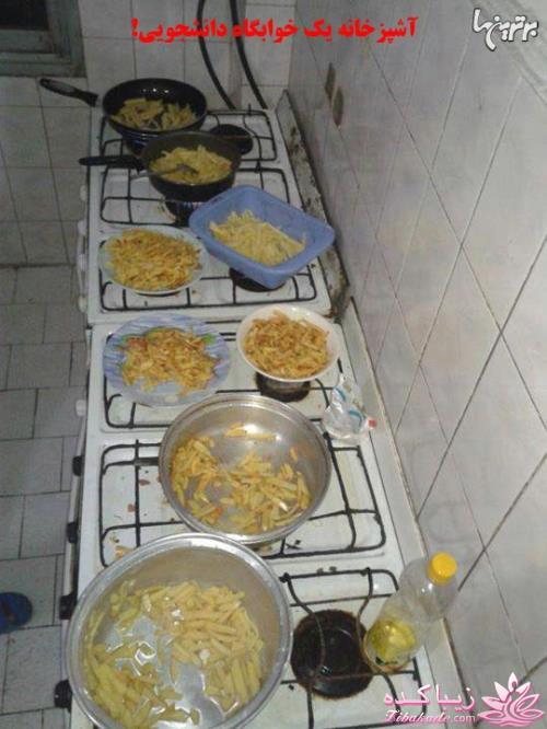 ترول های خنده دار | ترول های جدید 